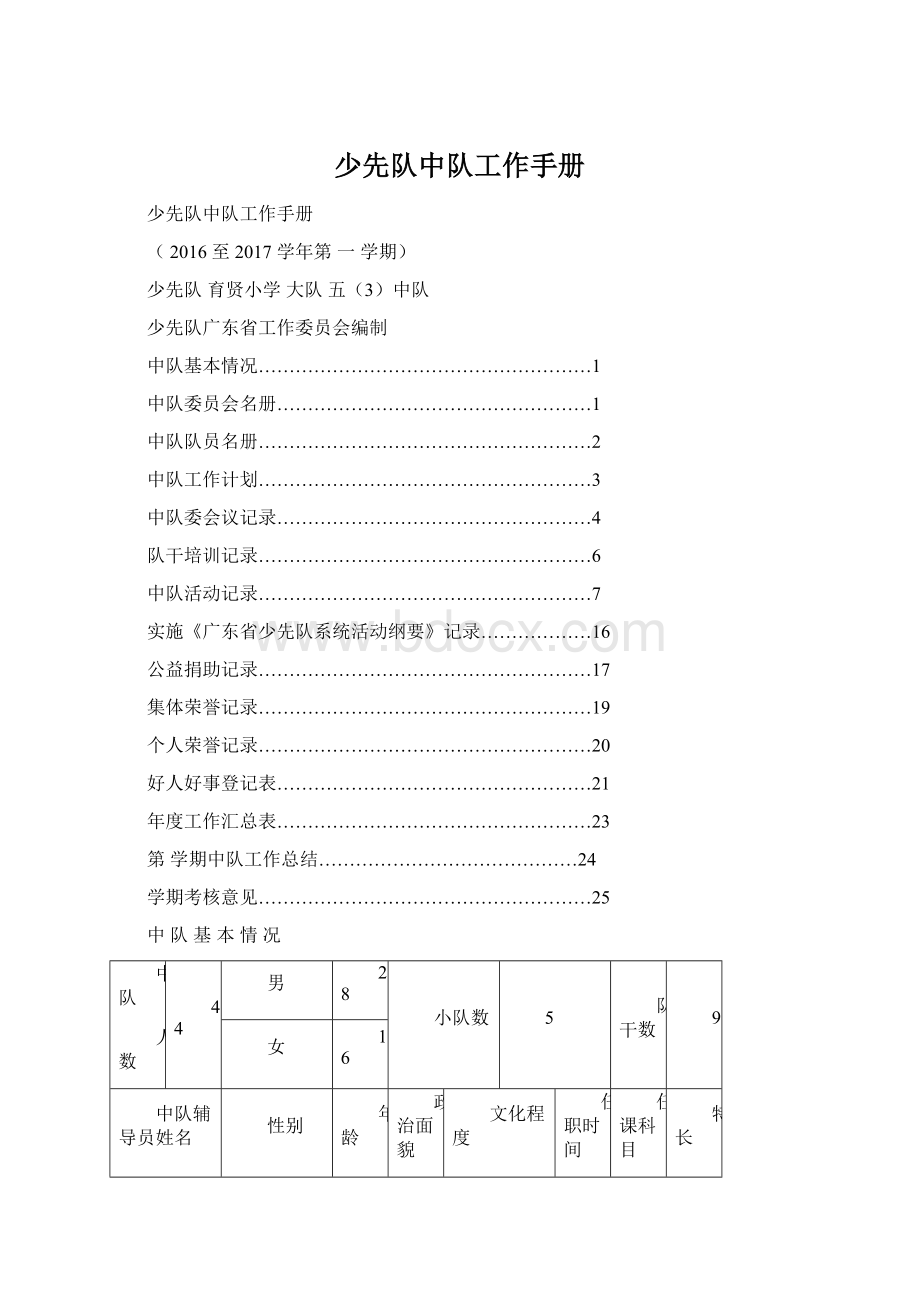 少先队中队工作手册.docx