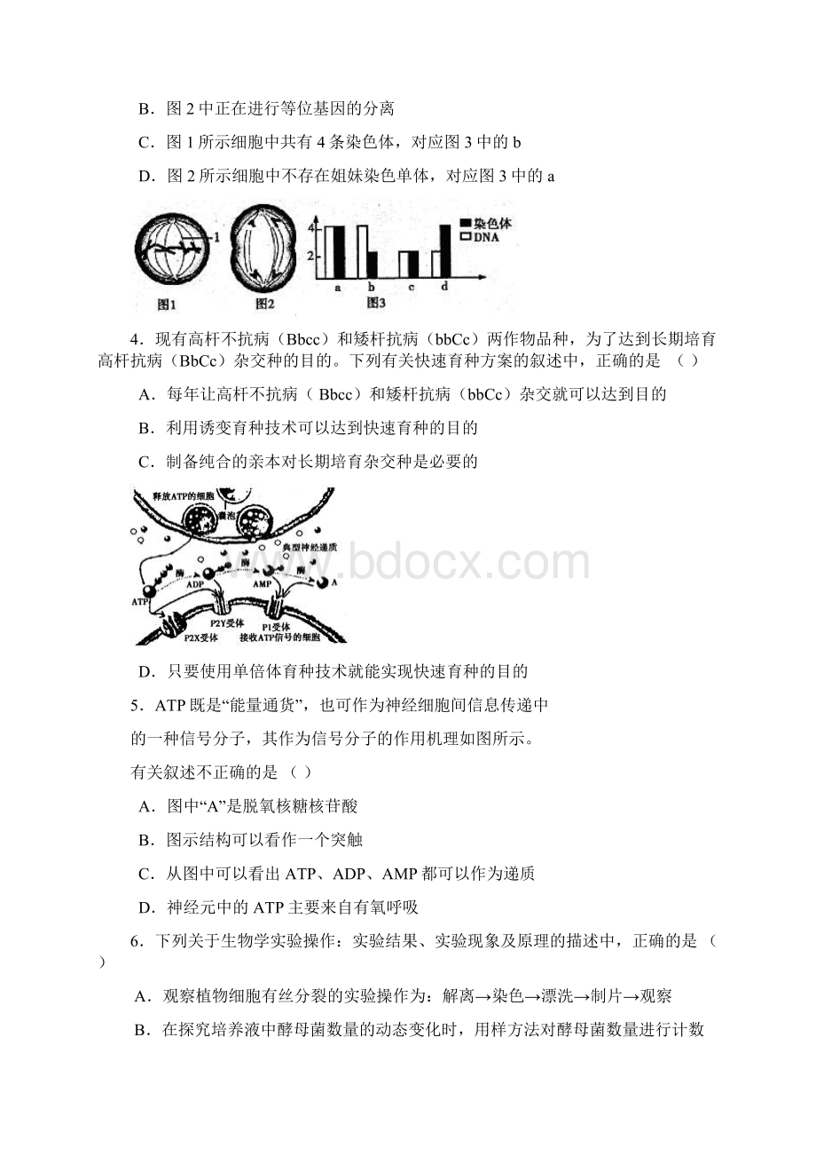 山东临沂市届高三第二次模拟考试理综试题word版Word格式文档下载.docx_第2页