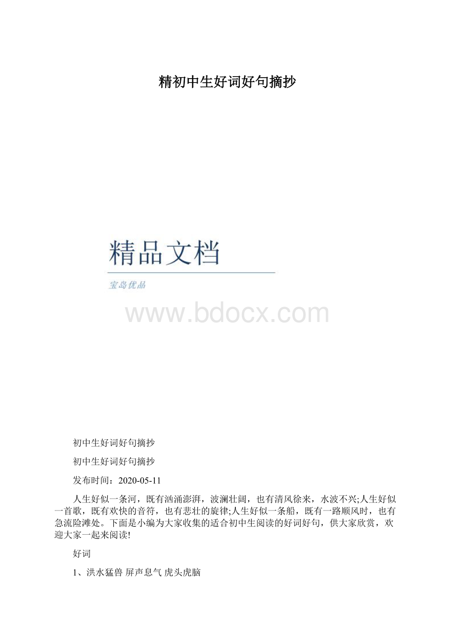 精初中生好词好句摘抄文档格式.docx