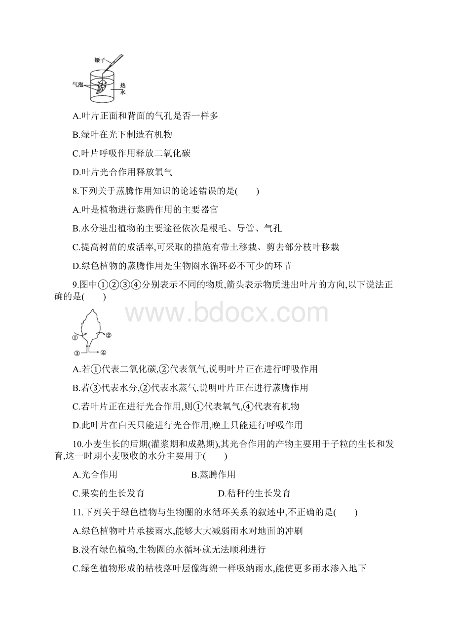 中考生物基础过关 绿色植物与生物圈的水循环复习练习Word格式.docx_第3页