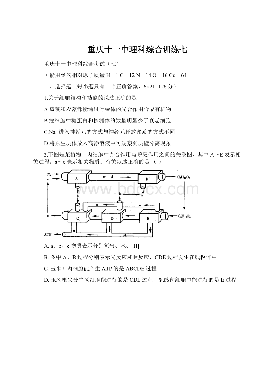 重庆十一中理科综合训练七.docx