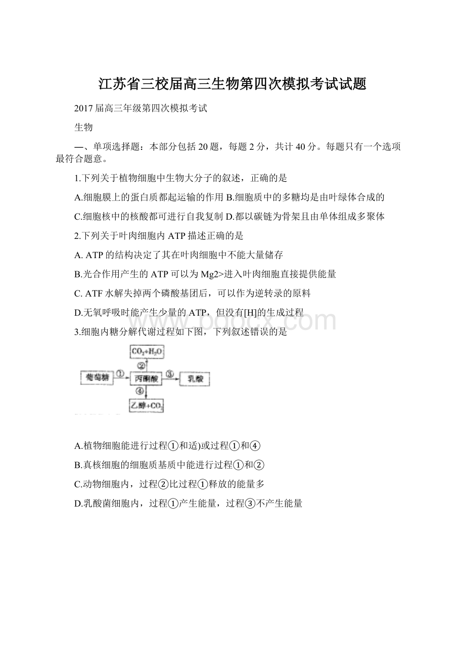 江苏省三校届高三生物第四次模拟考试试题文档格式.docx