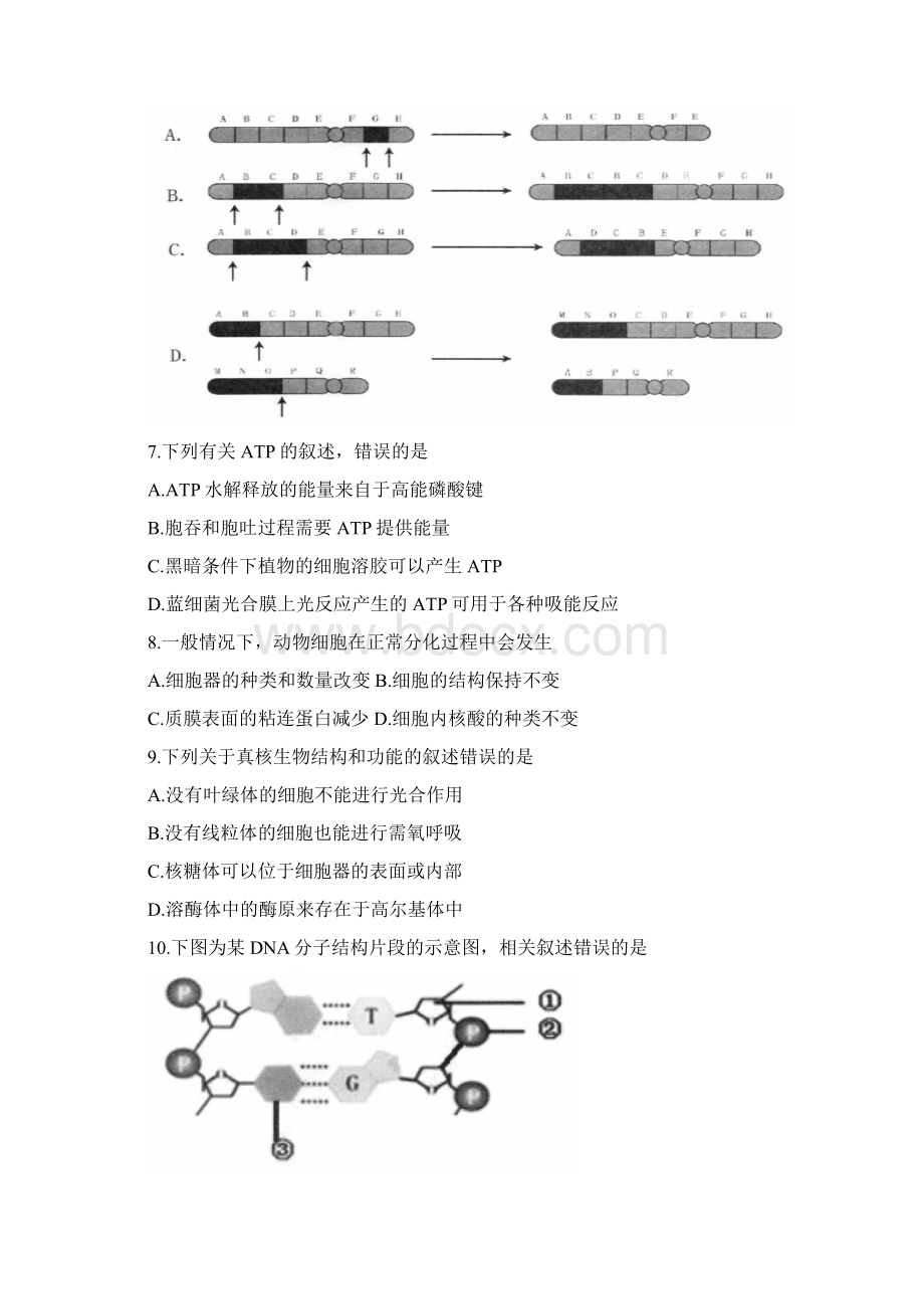 学年浙江省温州十五校联合体高一下学期期末联考生物试题.docx_第2页