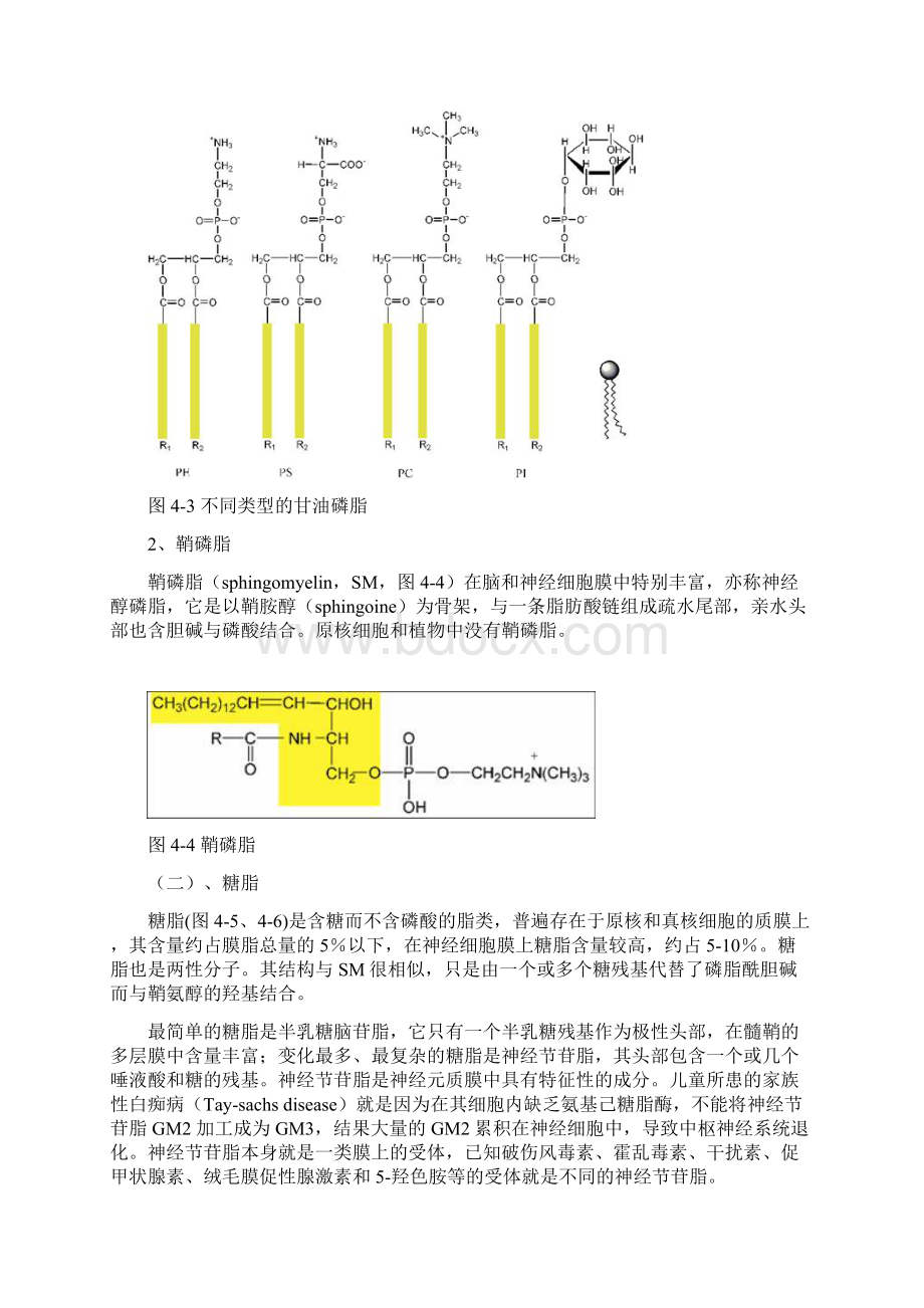 质膜Word下载.docx_第3页