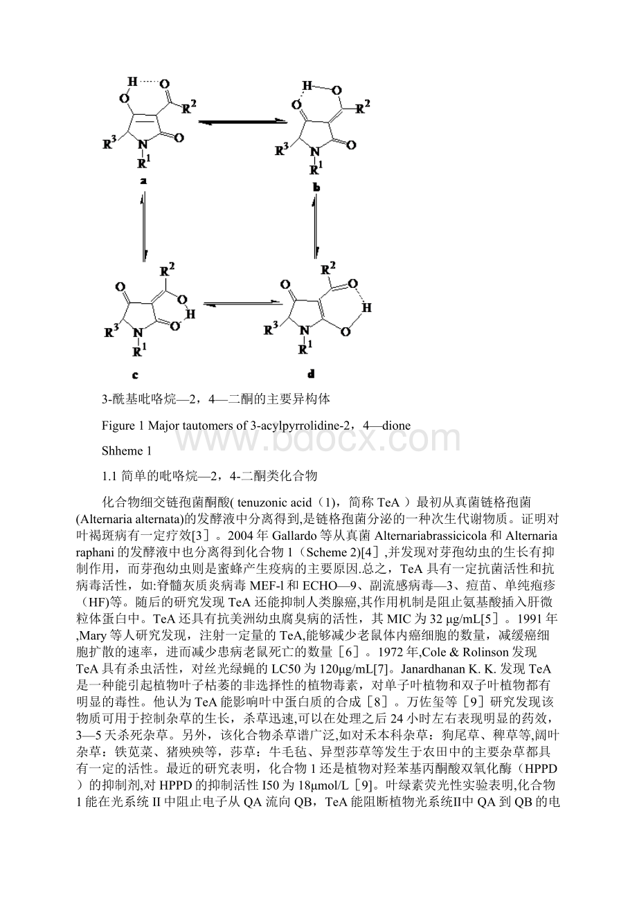 天然吡咯烷二酮类化合物及其生物活性的研究Word下载.docx_第3页