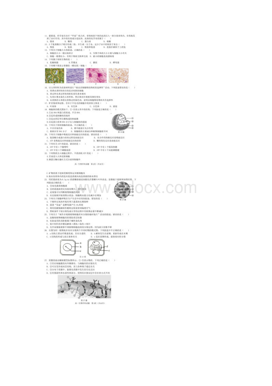 学年浙江省温州市新力量联盟高一上学期期末考试生物试题 扫描版.docx_第3页