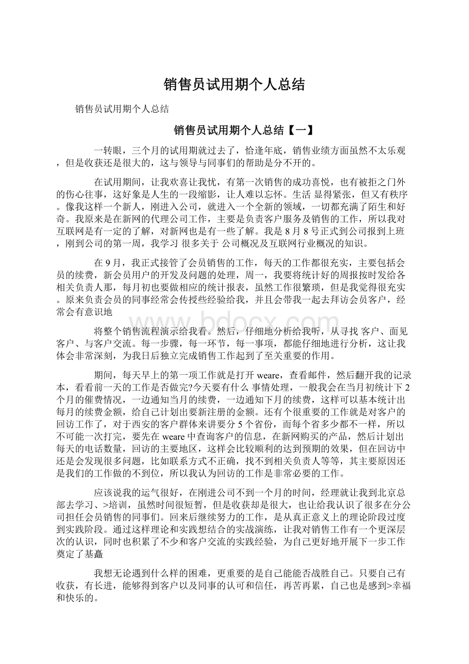 销售员试用期个人总结.docx_第1页