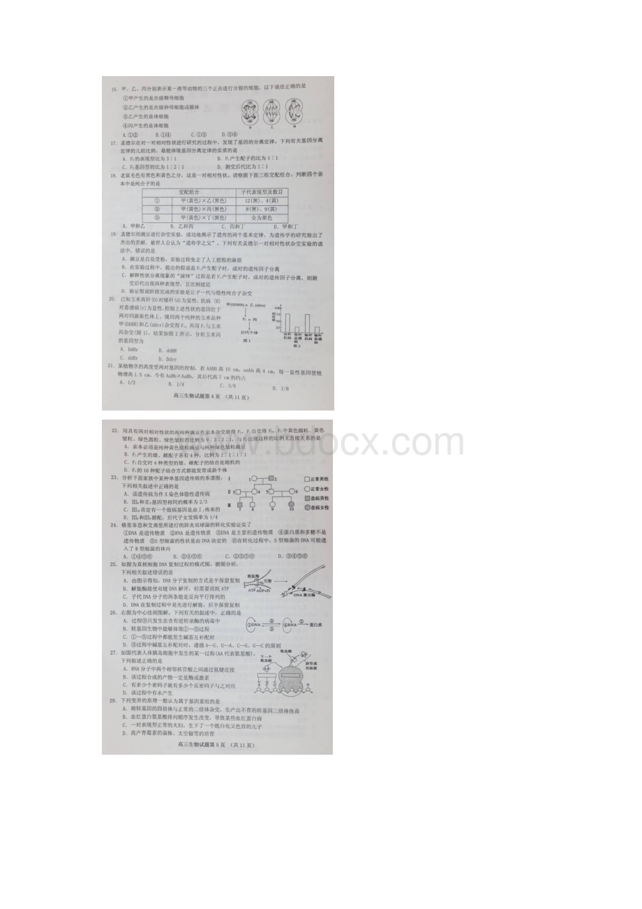 河北省邯郸市届高三上学期摸底考试生物试题 扫描版含答案.docx_第3页