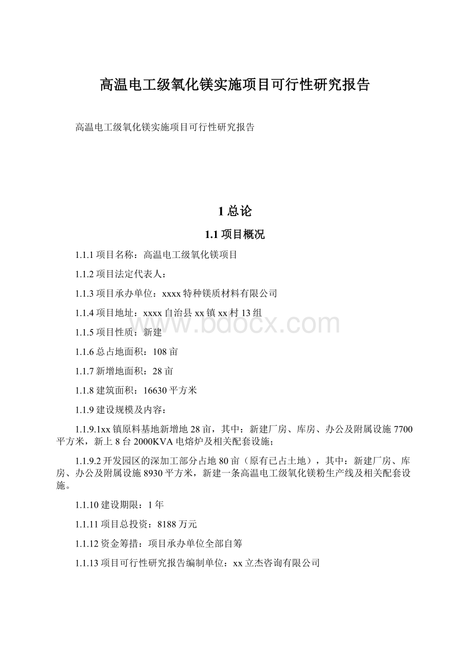 高温电工级氧化镁实施项目可行性研究报告文档格式.docx_第1页