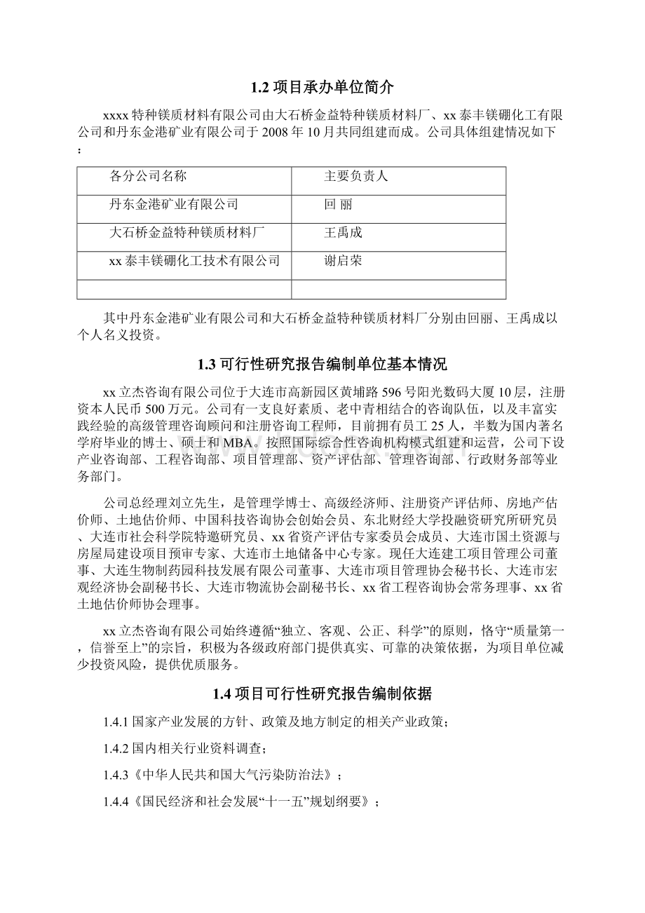 高温电工级氧化镁实施项目可行性研究报告文档格式.docx_第2页