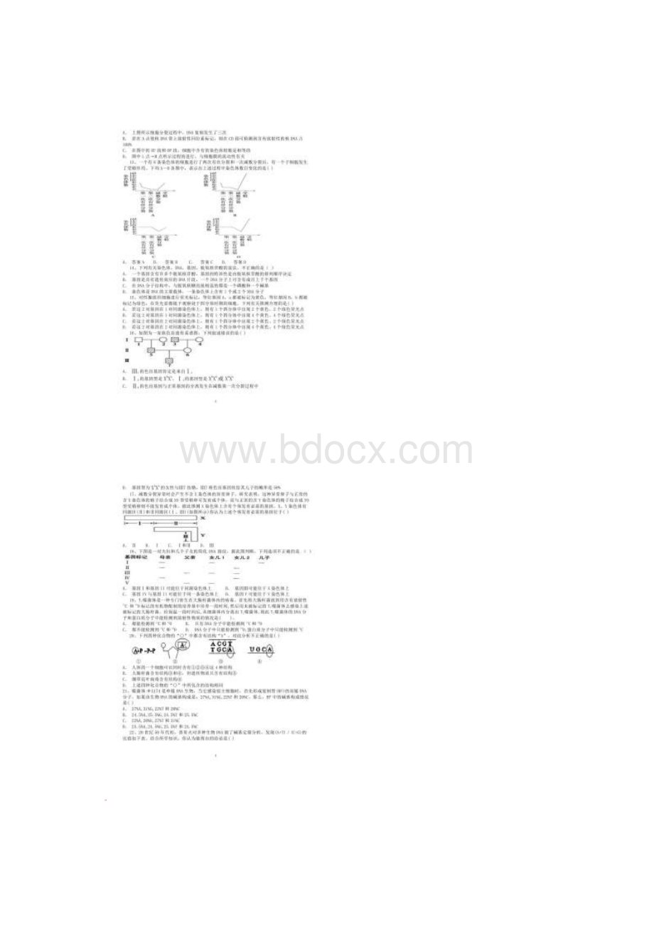 甘肃省西北师大附中学年高二生物上学期期末考试试题扫描版.docx_第2页