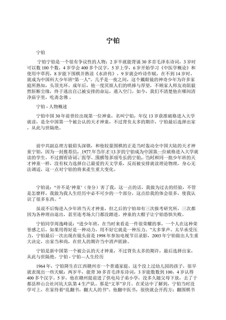 宁铂Word格式文档下载.docx