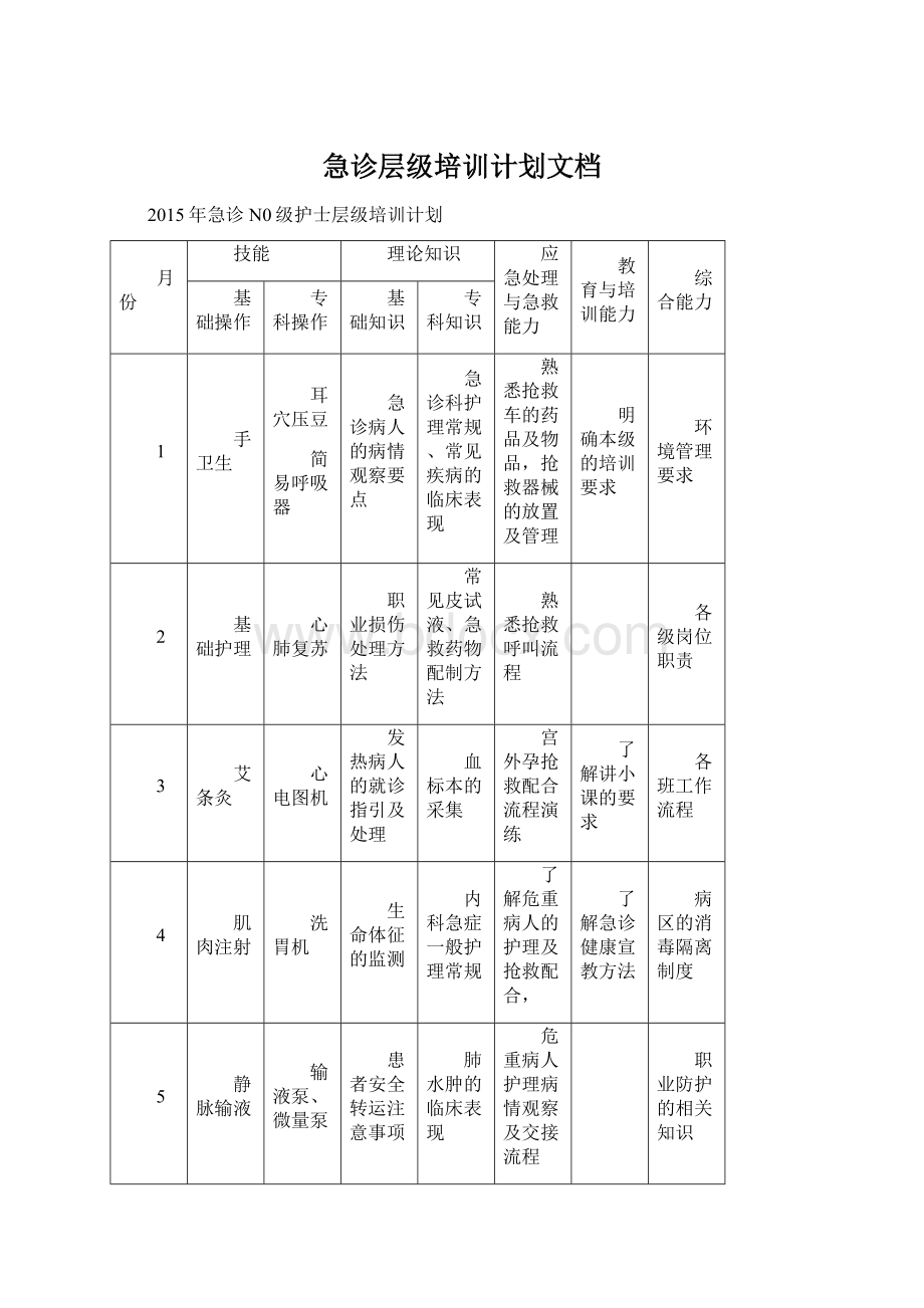 急诊层级培训计划文档Word格式文档下载.docx