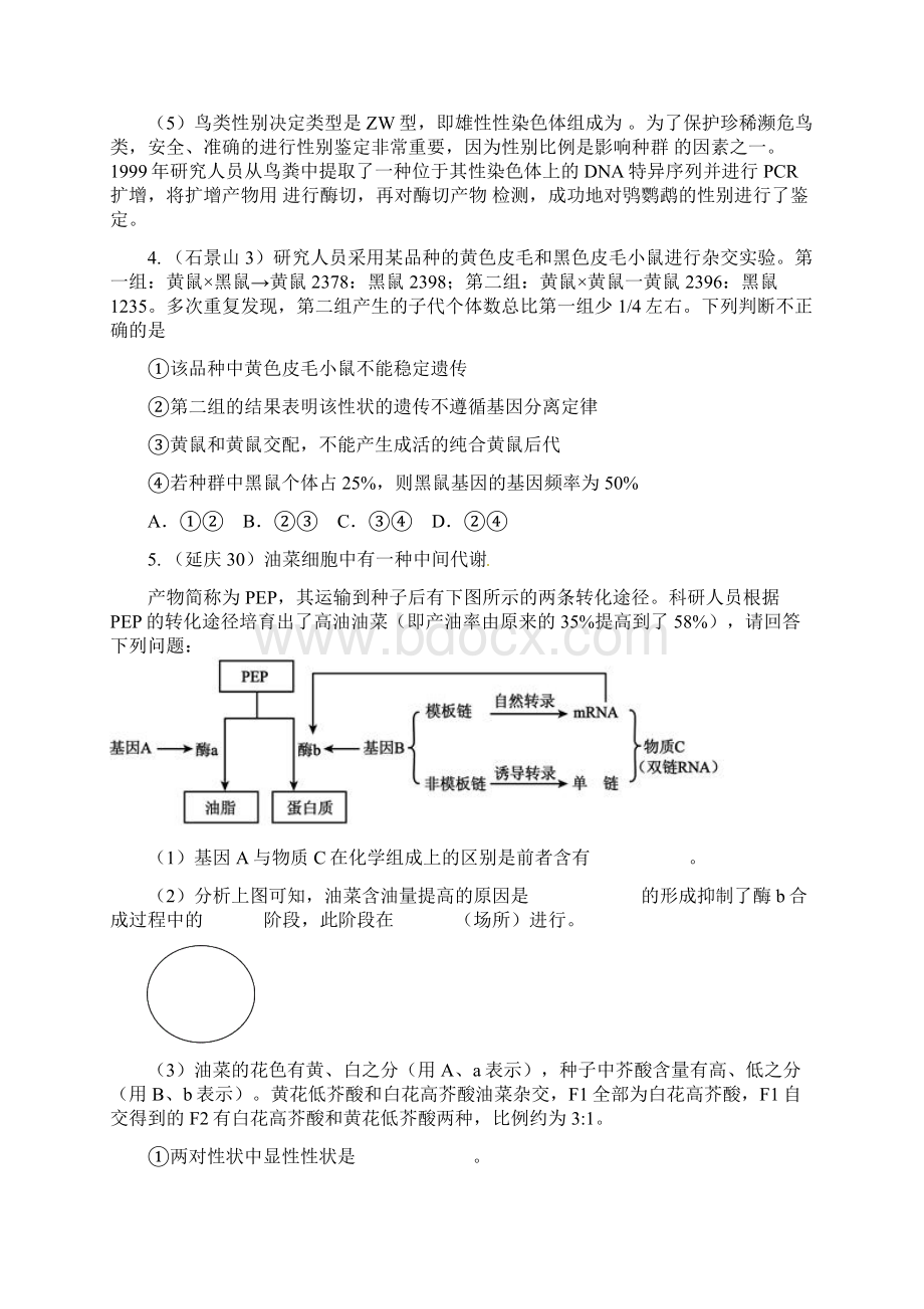 一模遗传部分.docx_第3页