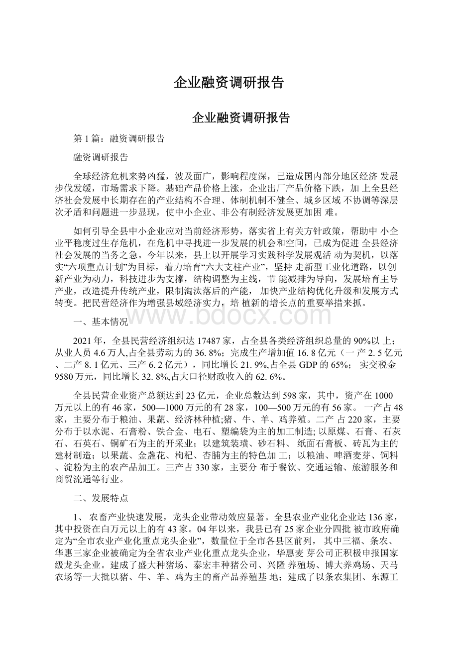 企业融资调研报告文档格式.docx