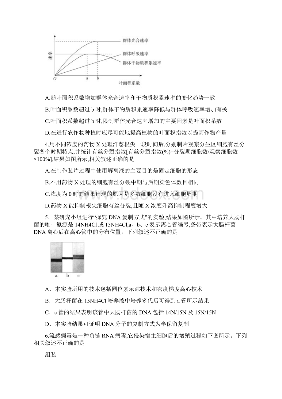 北京市东城区普通高中届高三下学期第二次综合练习二模生物试题及答案.docx_第2页