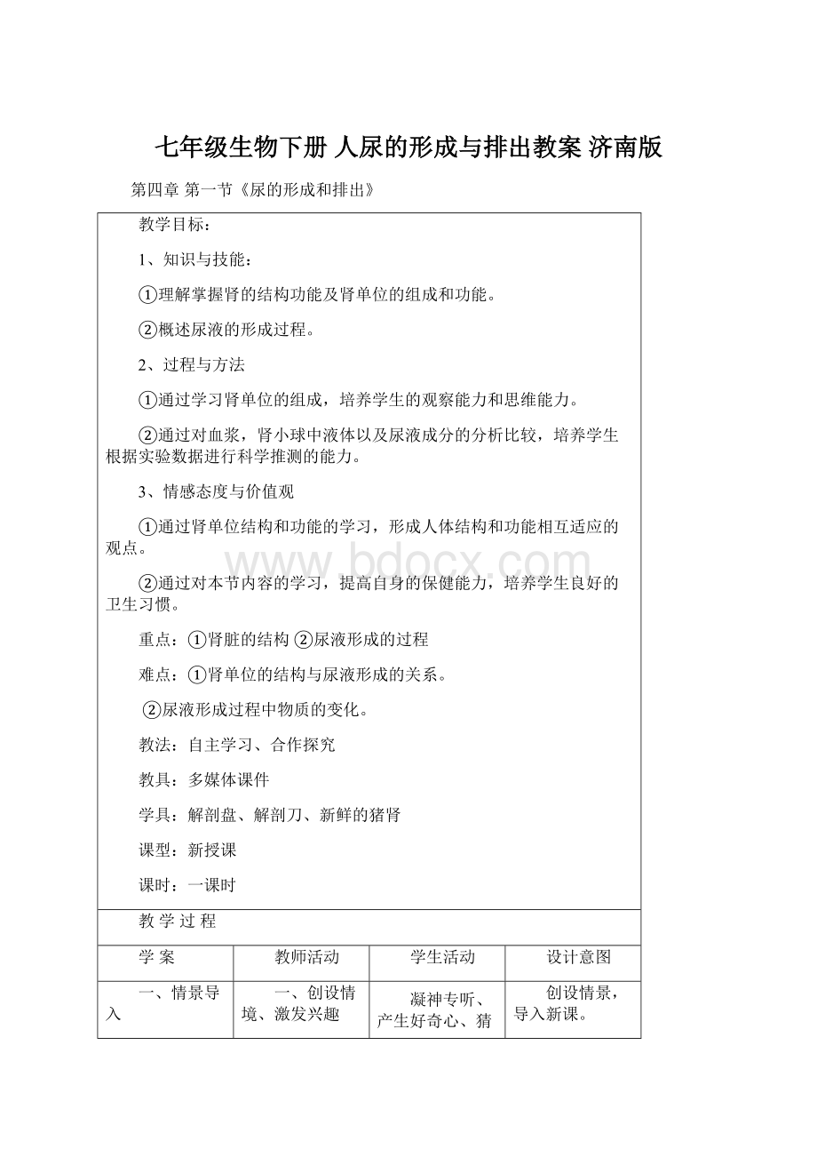 七年级生物下册 人尿的形成与排出教案 济南版Word文件下载.docx_第1页