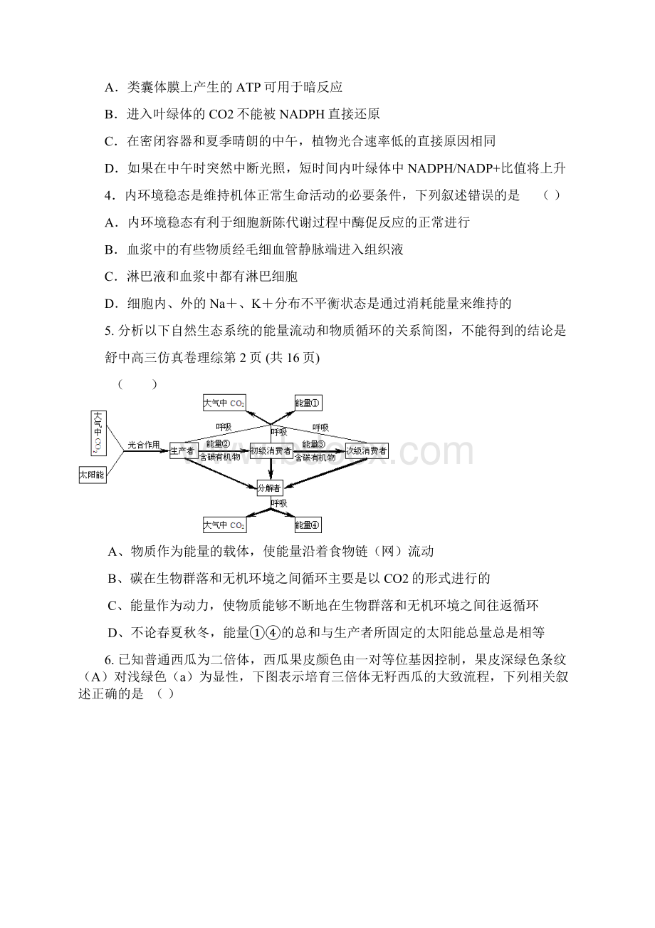 安徽省六安市舒城中学届高三仿真一理科综合试题.docx_第2页