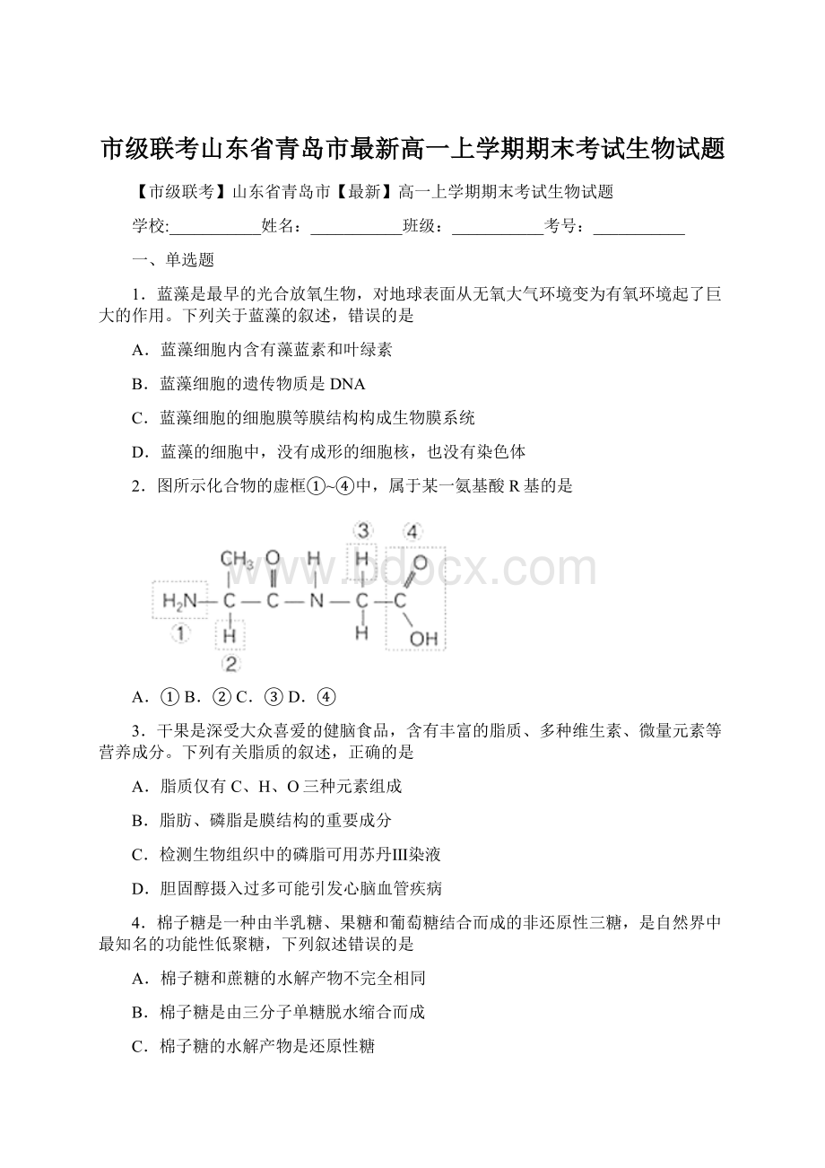 市级联考山东省青岛市最新高一上学期期末考试生物试题Word下载.docx