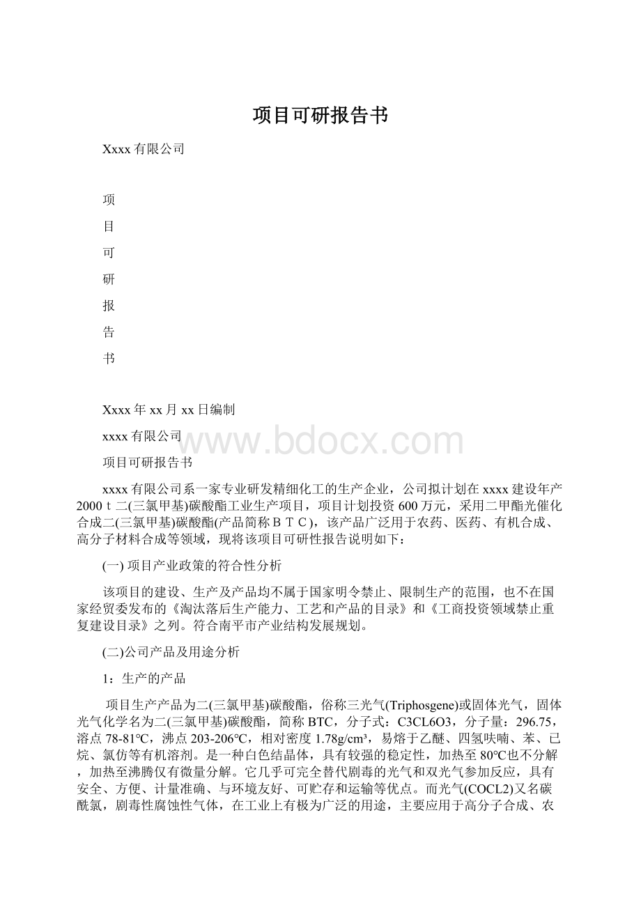 项目可研报告书Word格式文档下载.docx_第1页