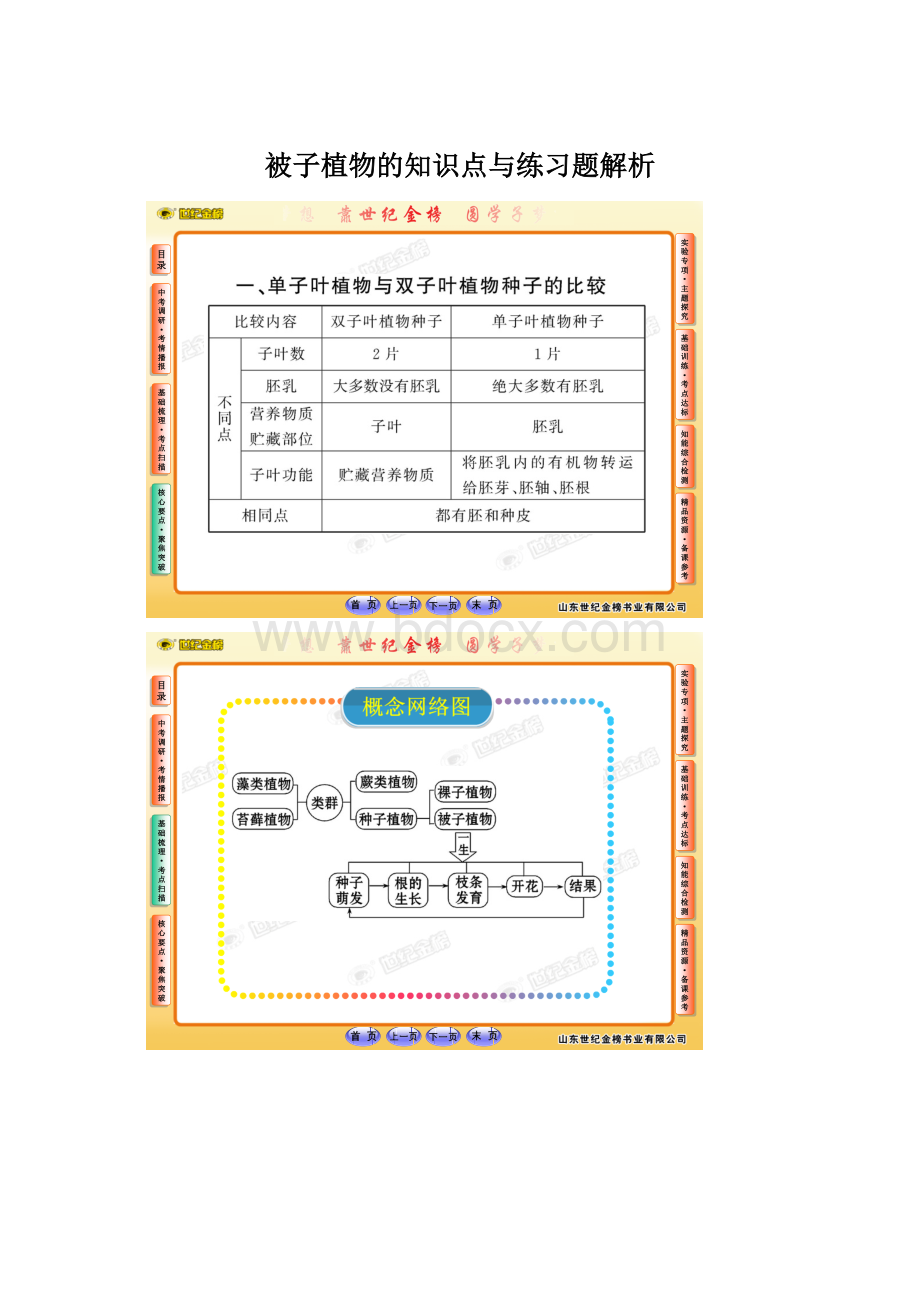 被子植物的知识点与练习题解析.docx