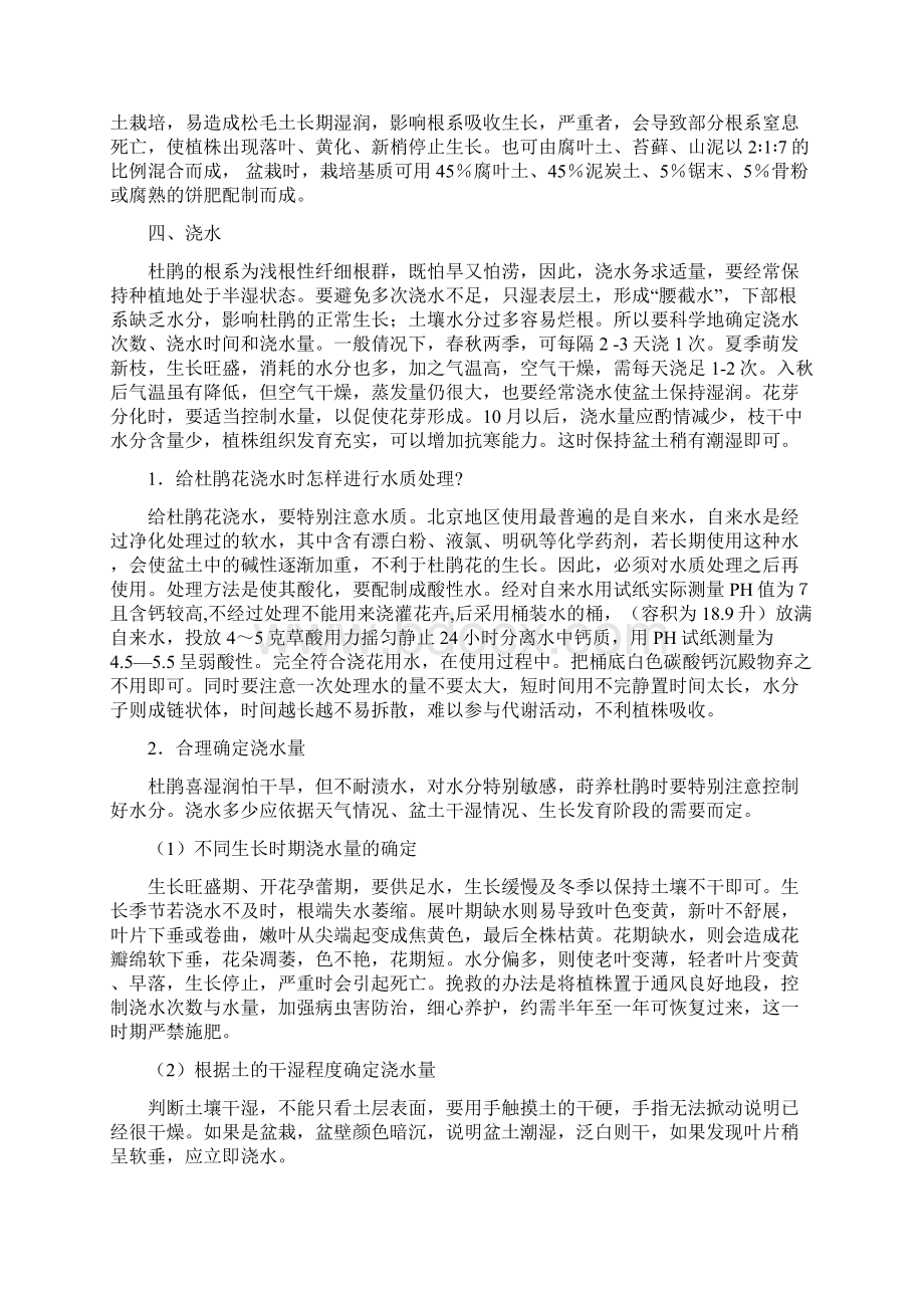 杜鹃的栽培与管理教材.docx_第3页