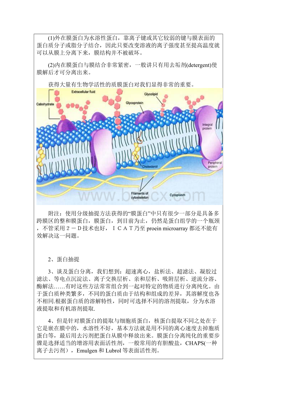 膜蛋白的提取与分离.docx_第2页