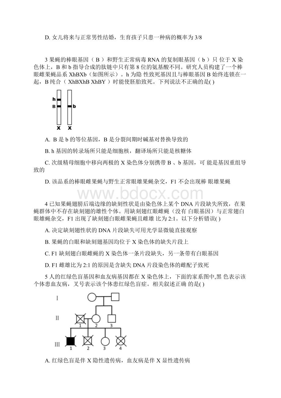 伴性遗传 自交与自由交配基因频率 无答案.docx_第2页