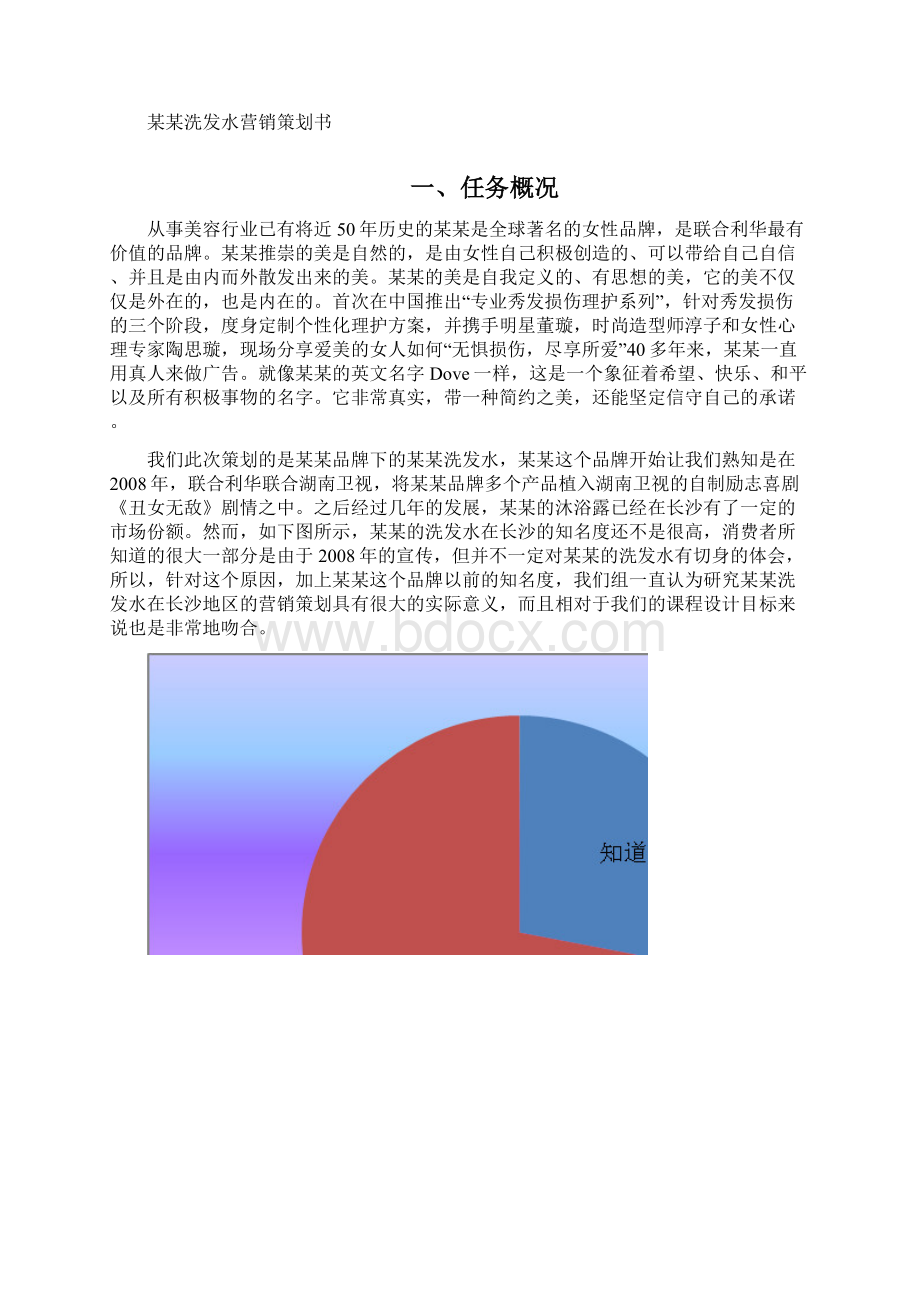 精品推荐洗发水行业整体营销策划方案Word版.docx_第3页