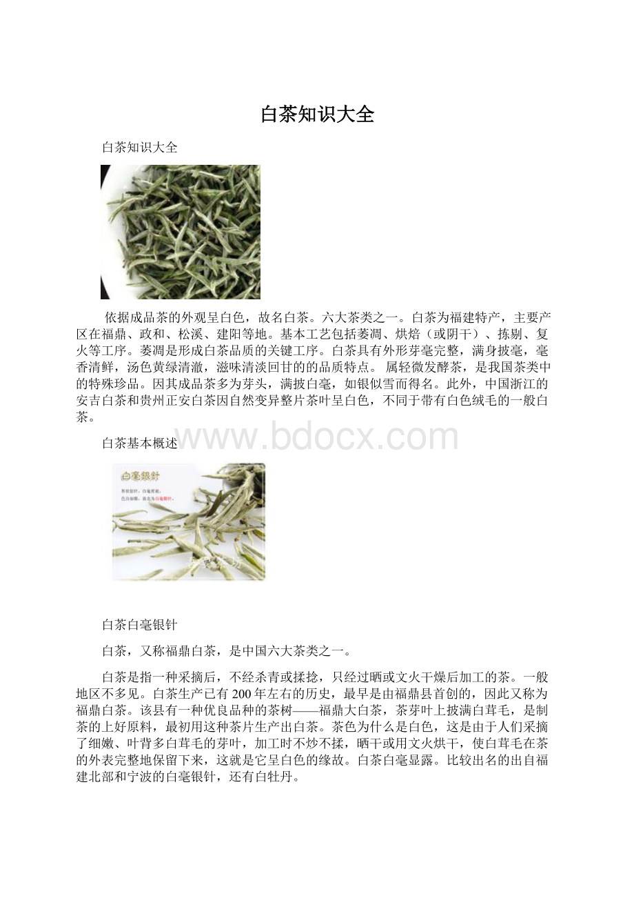 白茶知识大全文档格式.docx_第1页