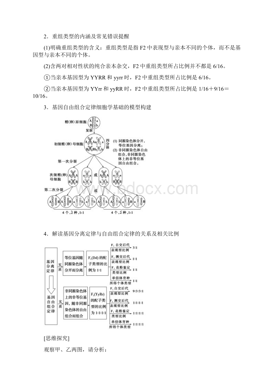 届高中生物一轮复习人教版基因自由组合定律学案Word下载.docx_第3页