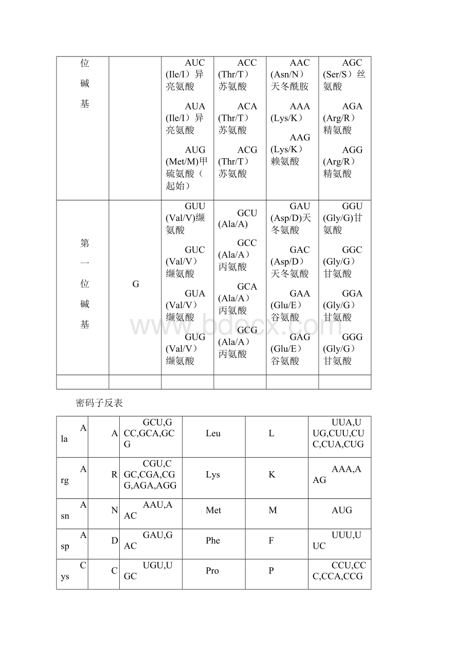 遗传密码表以及氨基酸详表文档格式.docx_第2页