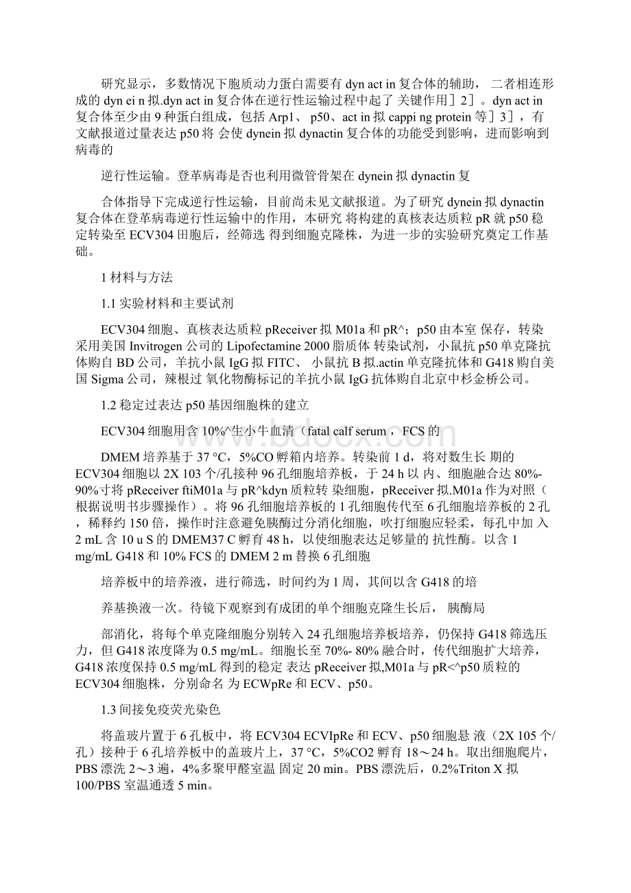 稳定过表达p50基因细胞株的构建及鉴定.docx_第2页