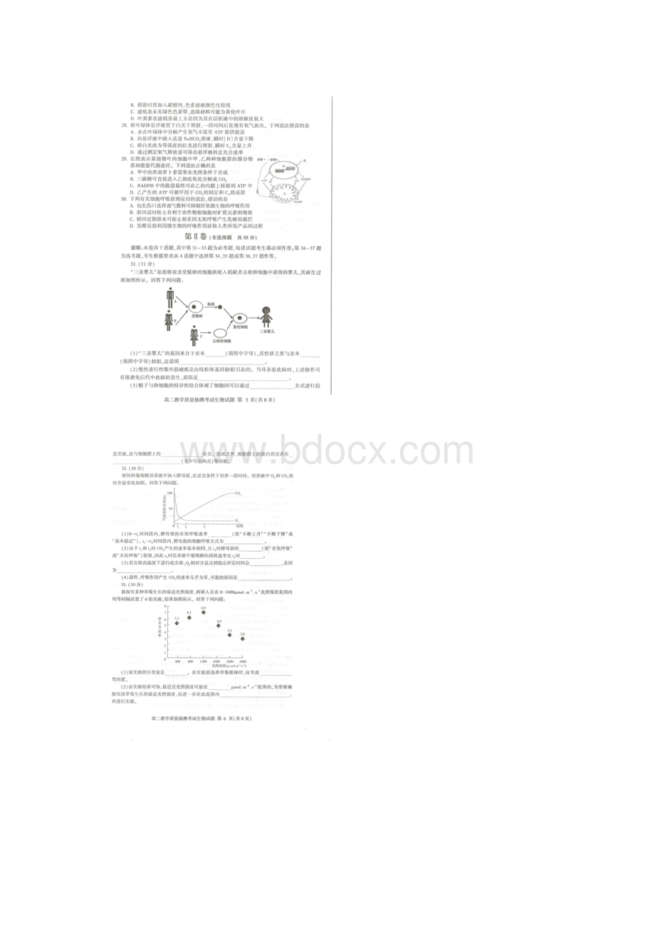 推荐精选山东省济南一中学年高二生物下学期期末考试试题扫描版.docx_第3页