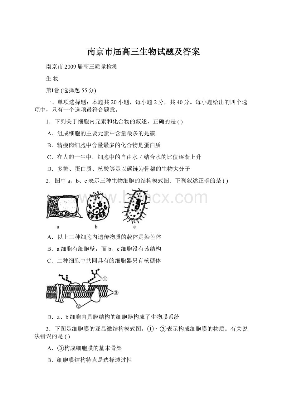 南京市届高三生物试题及答案Word文档格式.docx