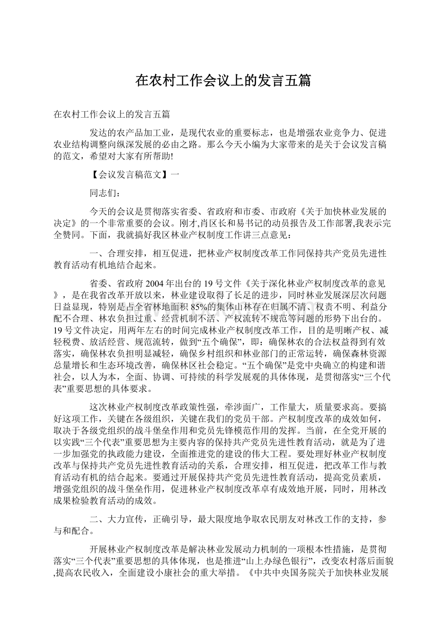 在农村工作会议上的发言五篇文档格式.docx