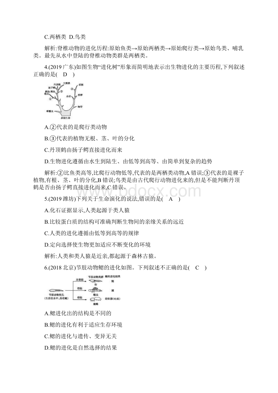 第七单元 生物圈中生命的延续和发展训练题第三章 生命起源和生物进化Word文档下载推荐.docx_第2页