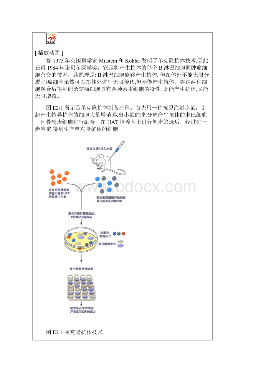 细胞生物学试验设计Word格式.docx_第2页