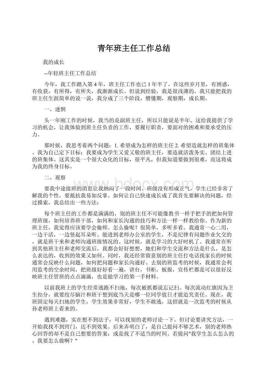 青年班主任工作总结Word下载.docx