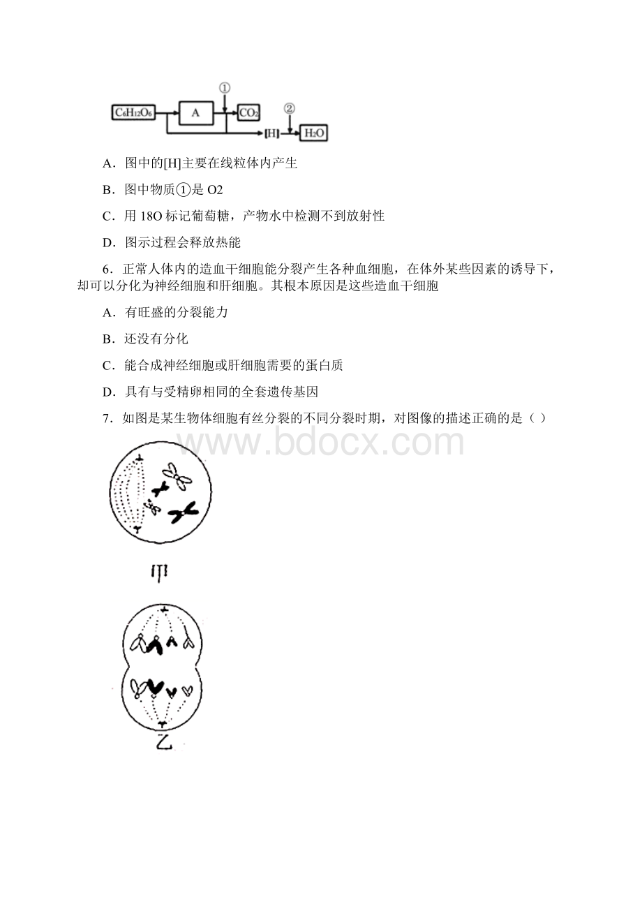 新教材高一生物必修一期末考试模拟题含答案Word文档下载推荐.docx_第2页