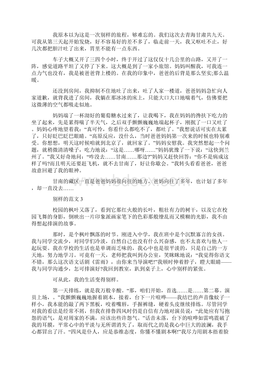 别样的初三作文.docx_第2页