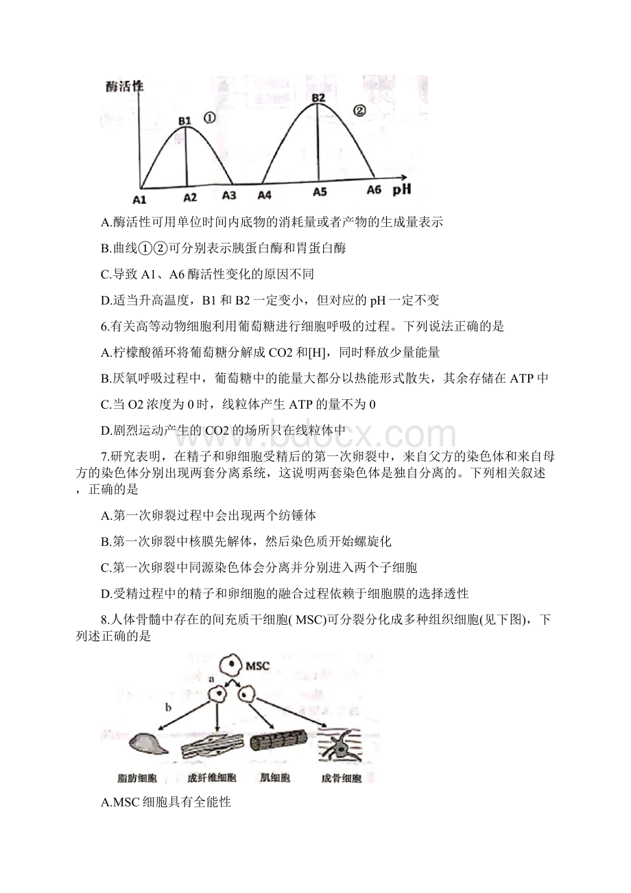 届浙江省名校协作体高三第一次联考 生物.docx_第3页