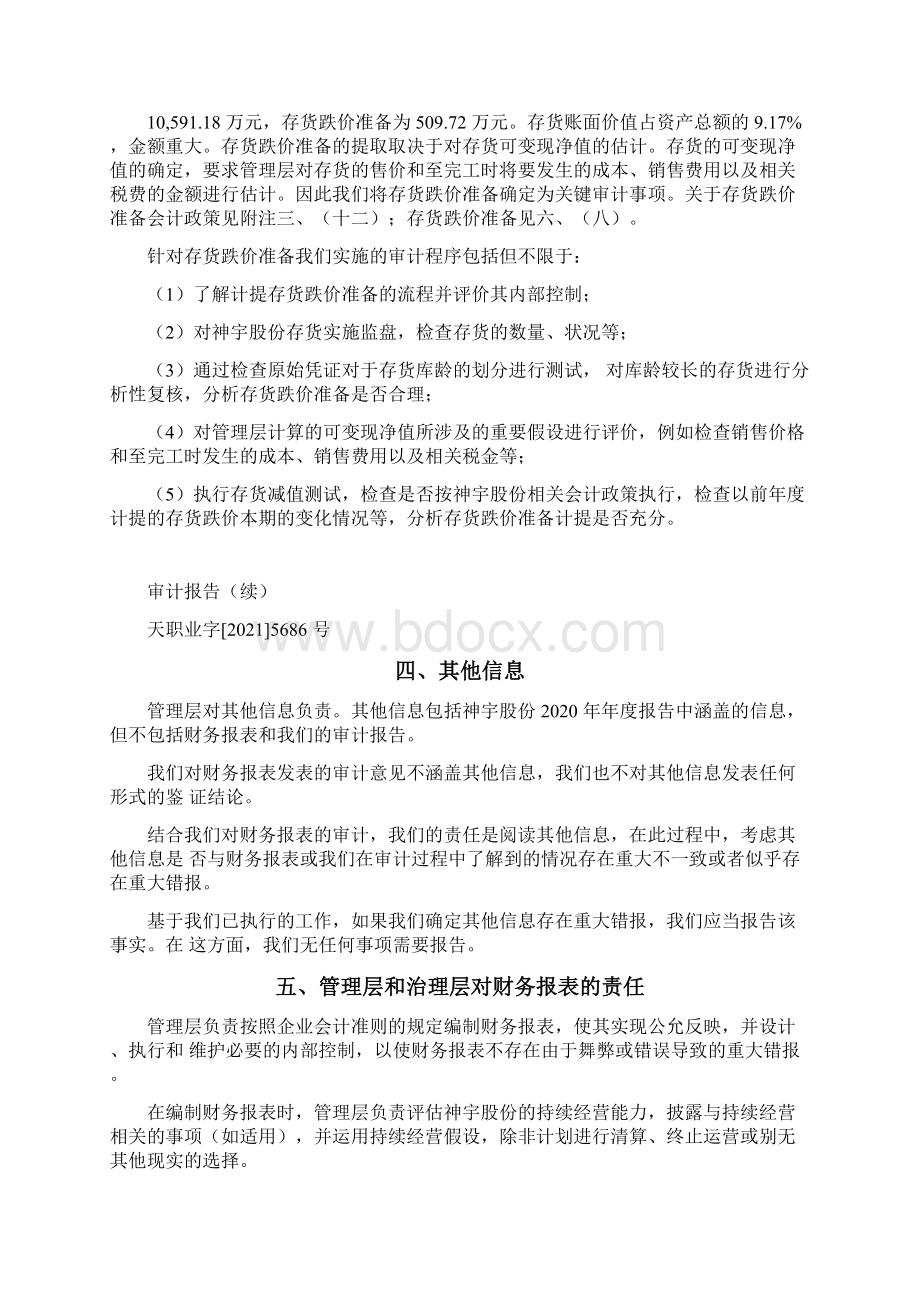 神宇股份年度审计报告Word下载.docx_第3页