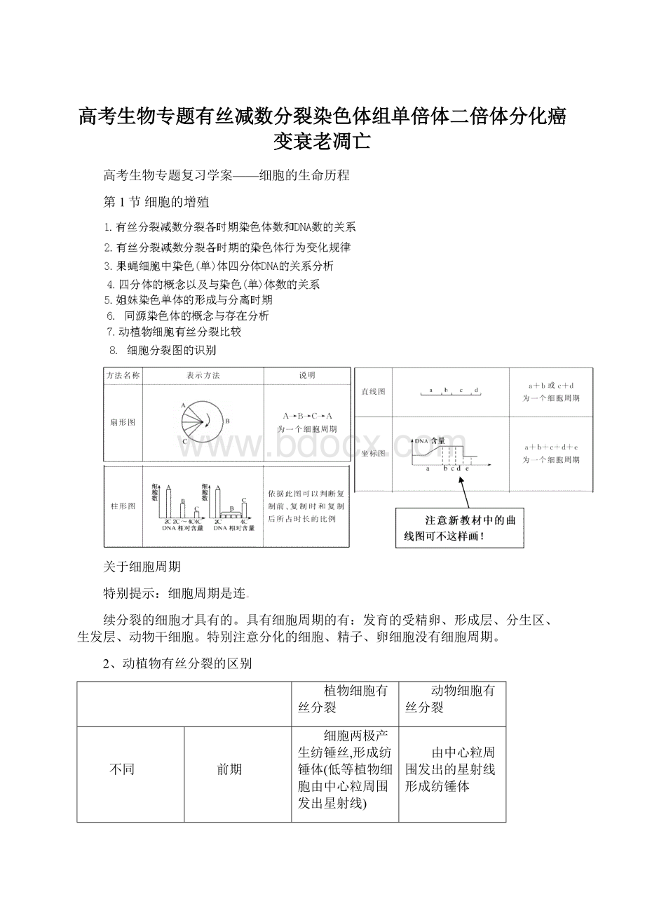 高考生物专题有丝减数分裂染色体组单倍体二倍体分化癌变衰老凋亡Word格式.docx