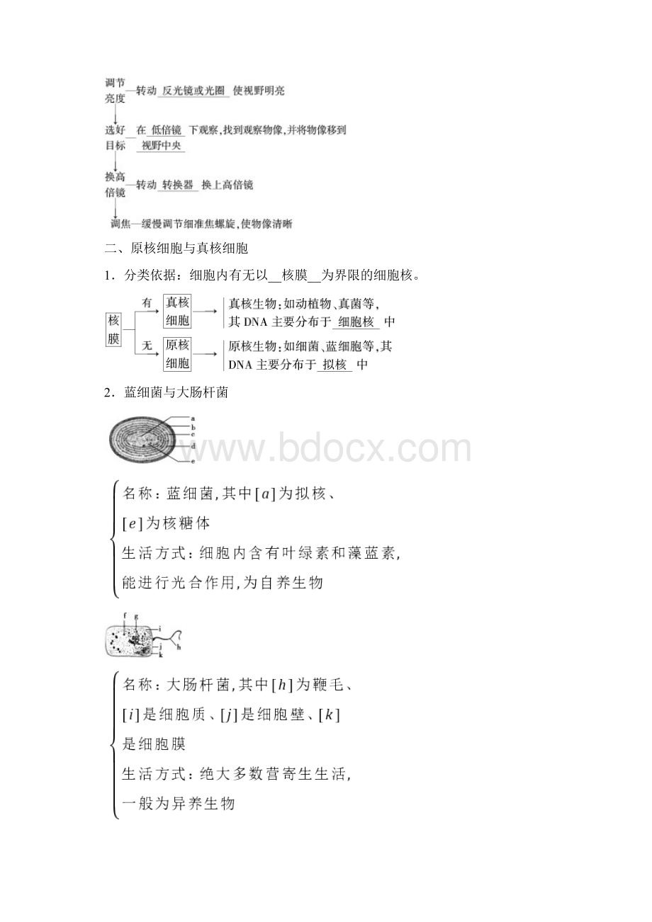 学年高中生物新教材人教版必修1学案第1章第2节细胞的多样性和统一性.docx_第2页