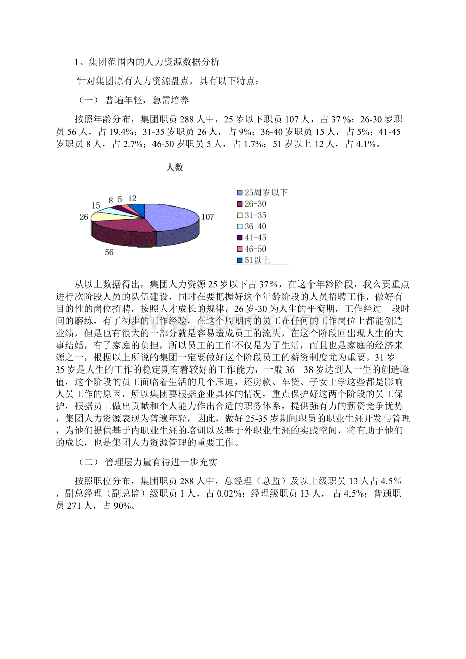 某集团人力资源诊断改正报告.docx_第2页