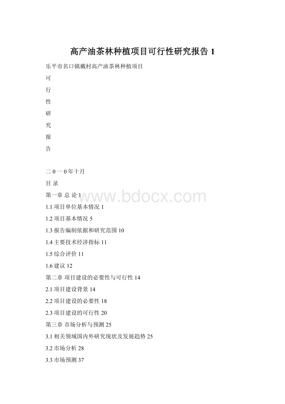 高产油茶林种植项目可行性研究报告1.docx_第1页