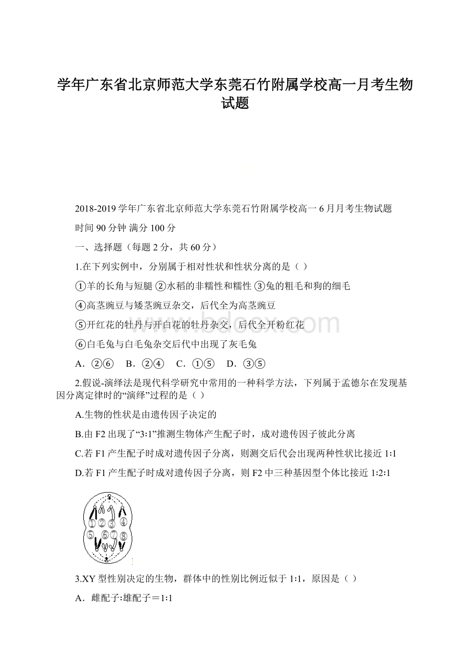 学年广东省北京师范大学东莞石竹附属学校高一月考生物试题Word文件下载.docx_第1页