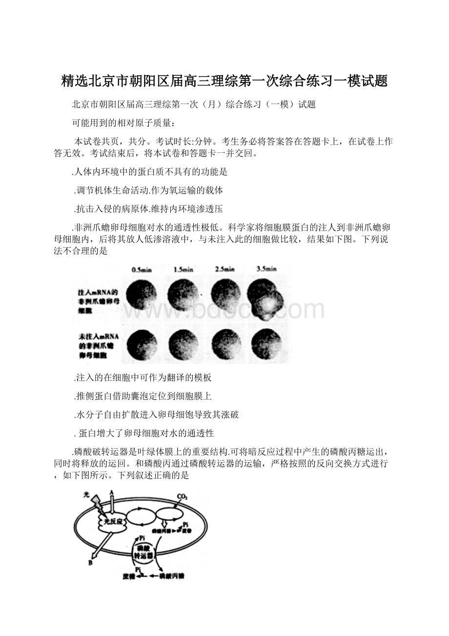 精选北京市朝阳区届高三理综第一次综合练习一模试题文档格式.docx