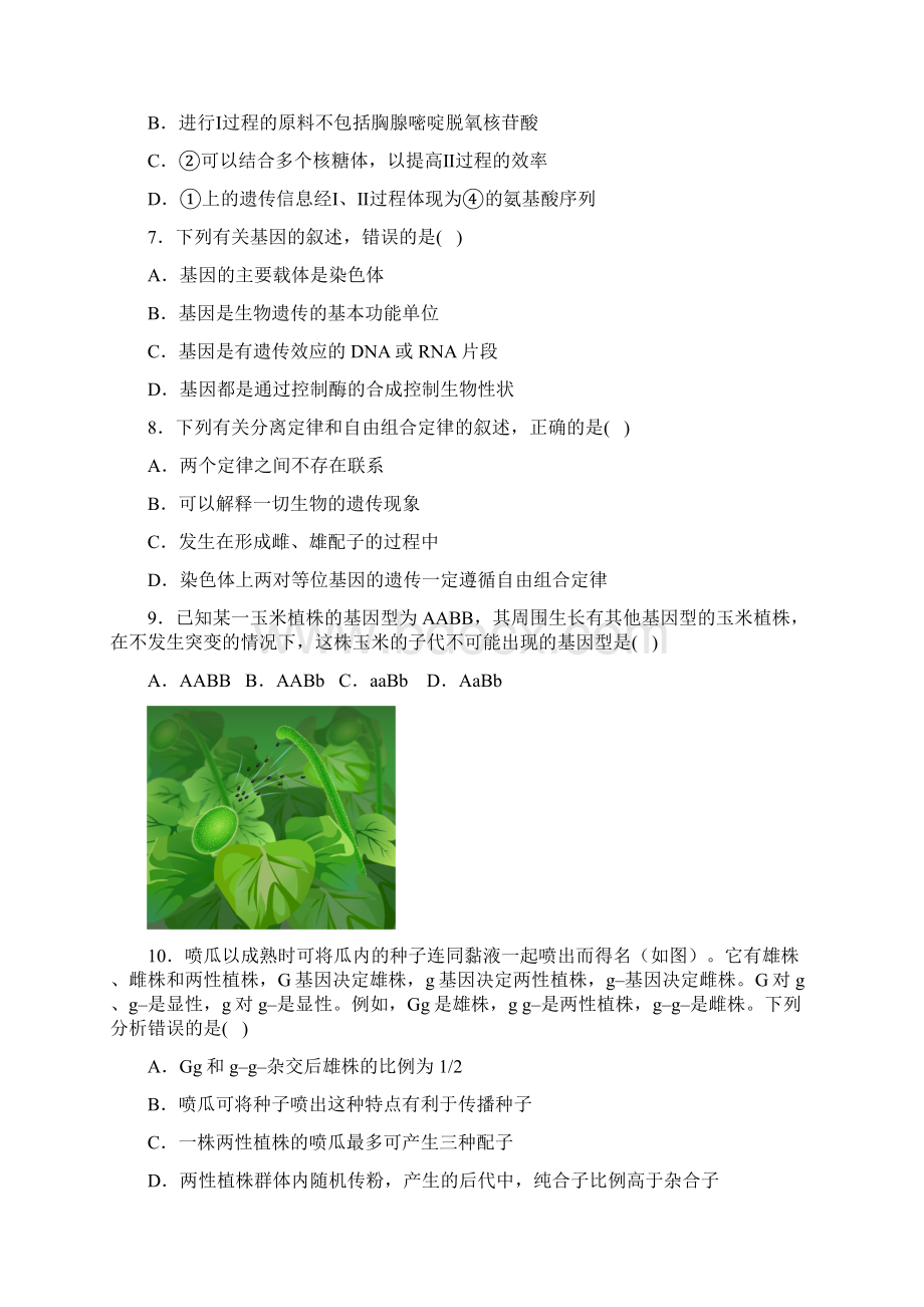 高中生物必修二遗传与进化综合测试含答案.docx_第3页